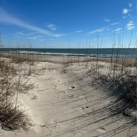 fort fisher