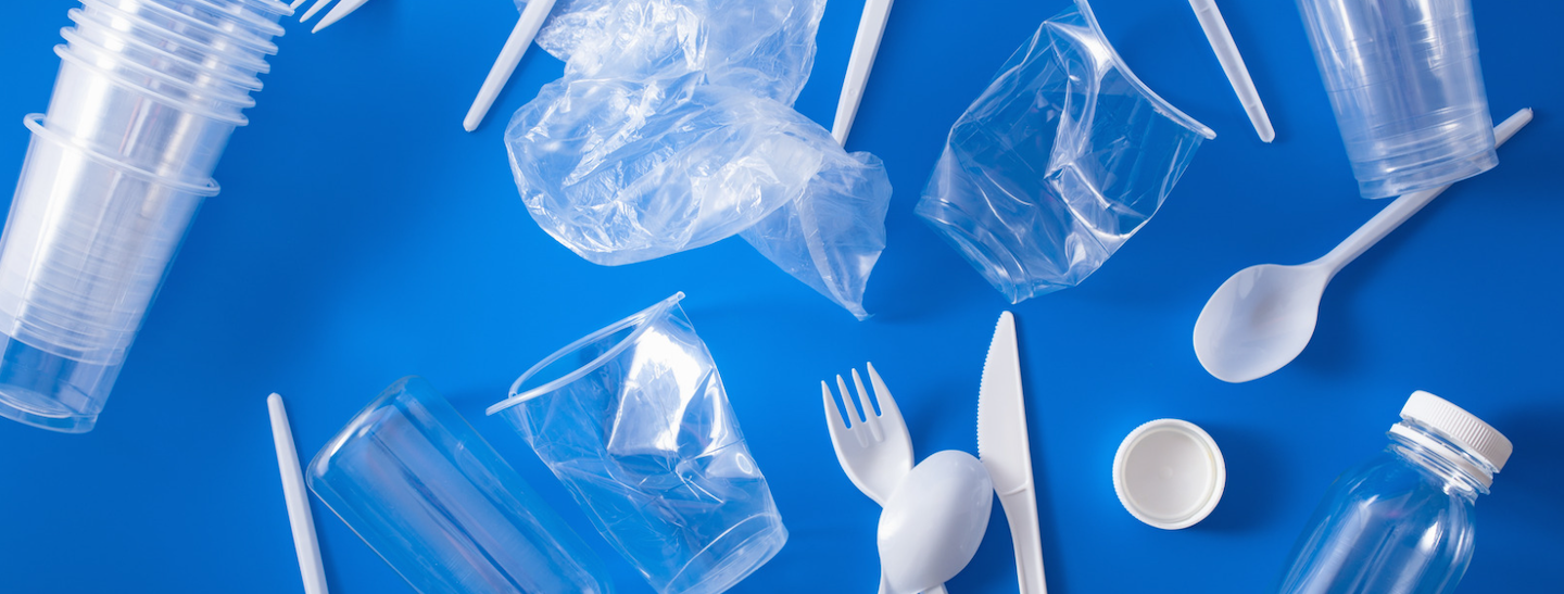 Oregon Beyond the Bag Ban