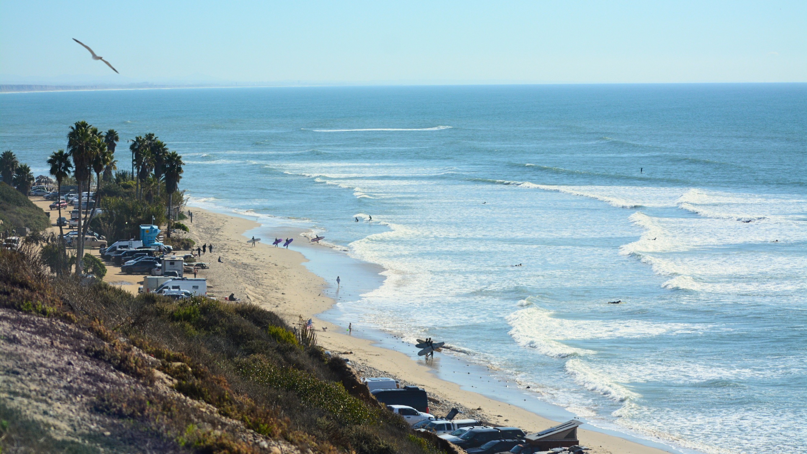 Protect Access at San O