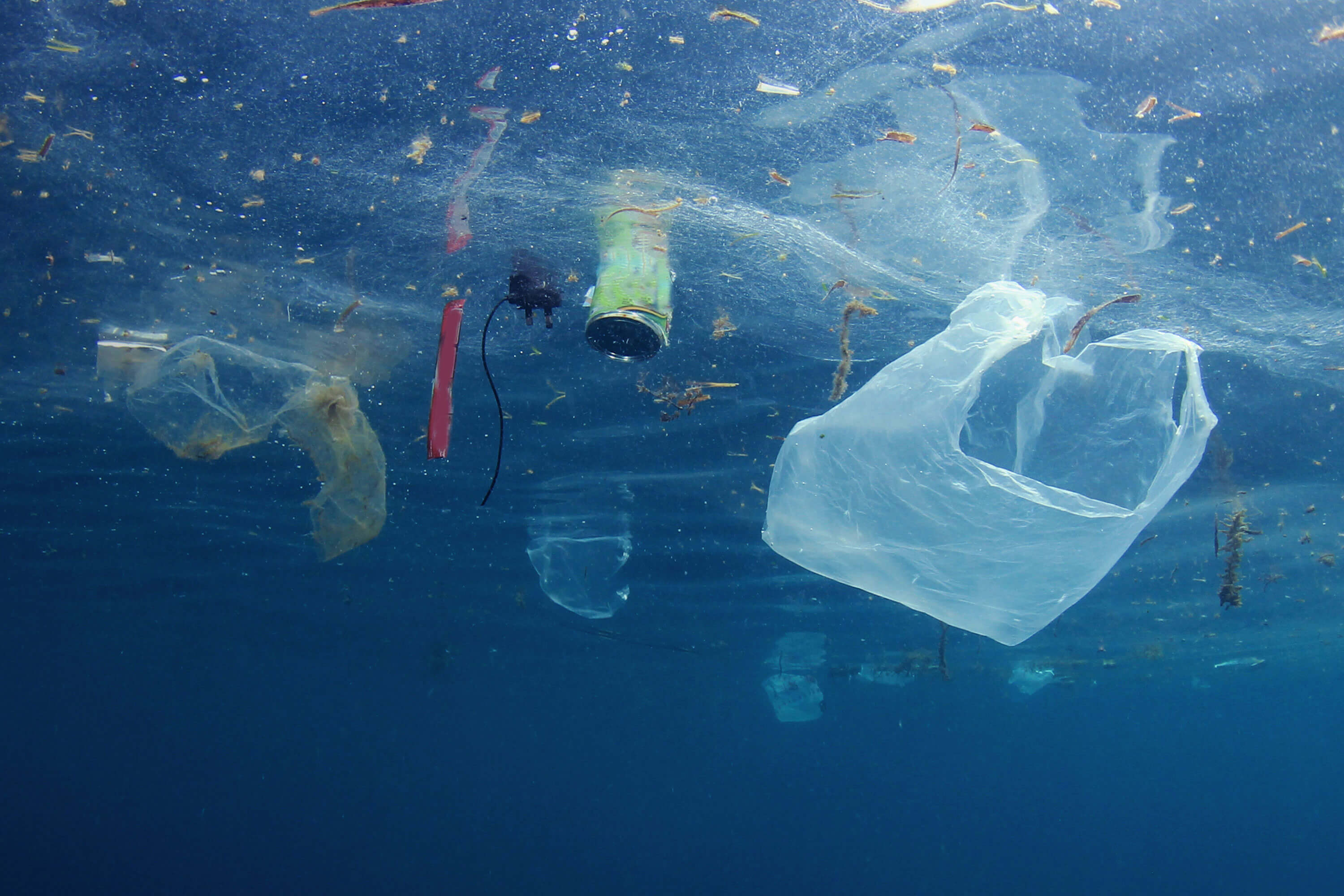 Pass the Break Free From Plastic Pollution Act of 2023