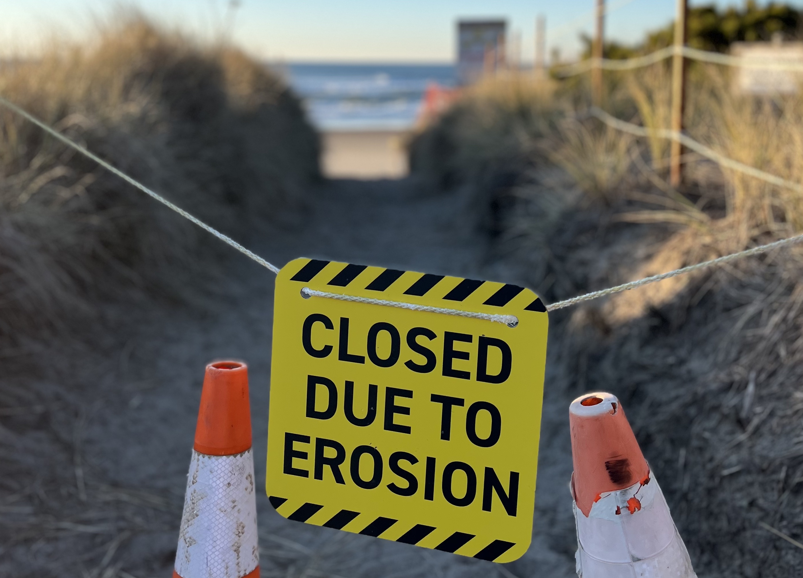 Nature First for Oregon's Beaches
